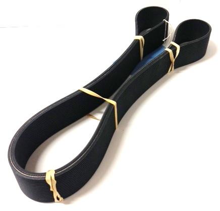 22189021P Drive Belt