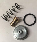 22832885 OEM INGERSOLL RAND THERMAL VALVE KIT
