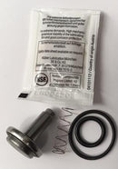 OEM HPC KAESER MPNRV VALVE MAINTENANCE KIT      