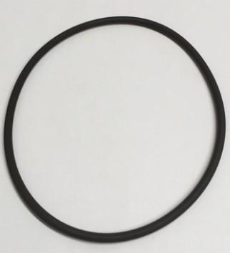 CZ75608 OEM HYDROVANE O RING FILTER SUPPORT